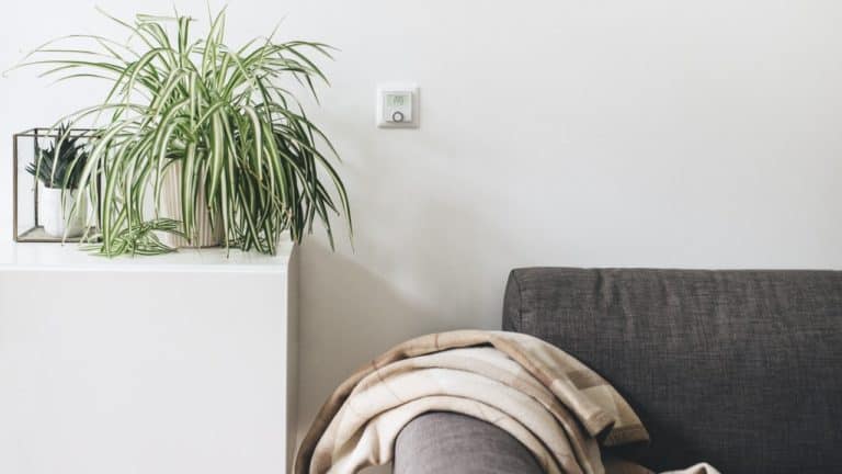 Bosch Smart Home unterstützt demnächst HomeKit