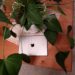 iPad 2018