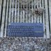 Logitech K400 Plus – Testbericht