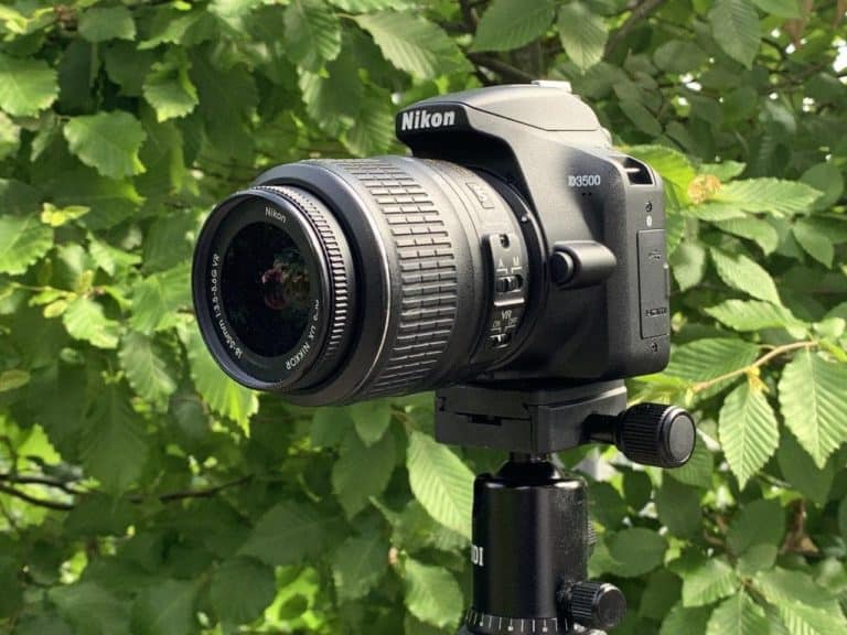 Nikon D3500 Test