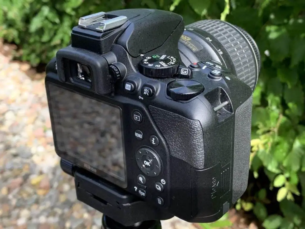 Nikon D3500 Test Ansicht von hinten