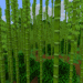 Minecraft Bambus