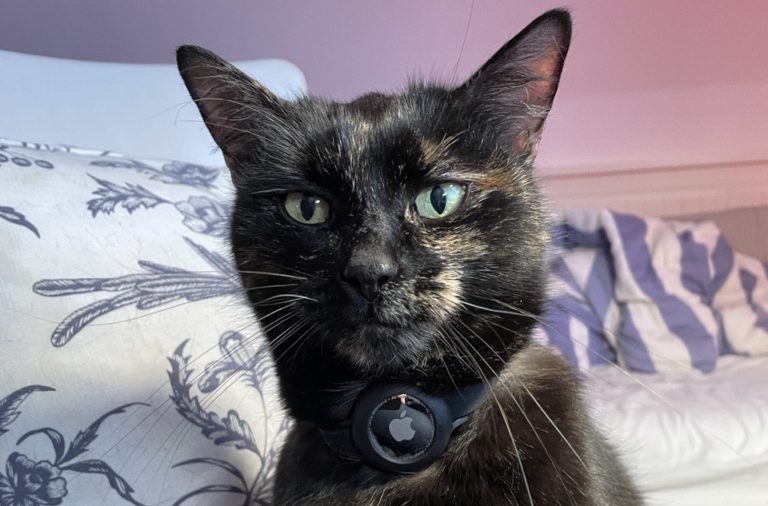 AirTag Katze: Funktioniert das?